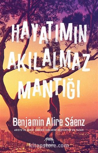 Hayatımın Akılalmaz Mantığı (Ciltli)