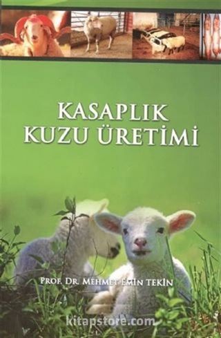 Kasaplık Kuzu Üretimi