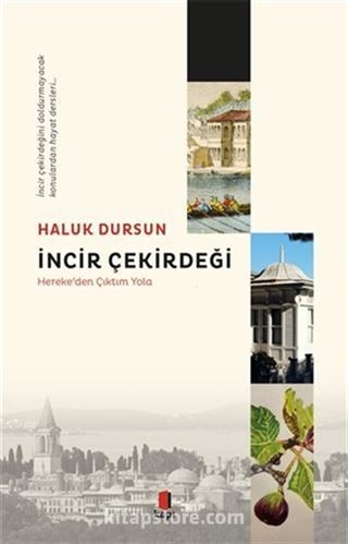 İncir Çekirdeği