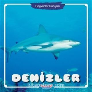 Denizler / Hayvanlar Dünyası