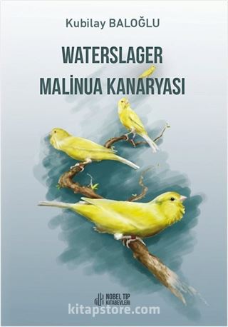 Waterslager Malinua Kanaryası Ötümü-Bakımı-Eğitimi-Beslenmesi ve Hastalıkları