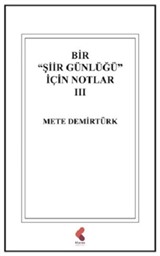 Bir Şiir Günlüğü İçin Notlar III