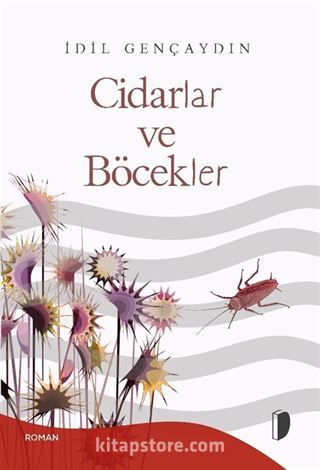 Cidarlar ve Böcekler