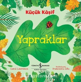 Küçük Kaşif / Yapraklar