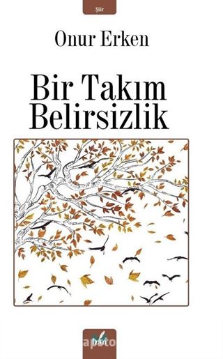 Bir Takım Belirsizlik