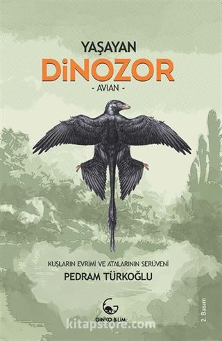 Yaşayan Dinozor - Avian - Kuşların Evrimi ve Atalarının Serüveni