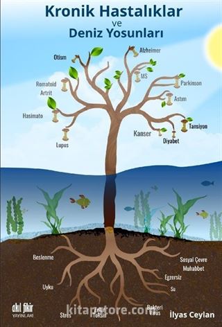 Kronik Hastalıklar ve Deniz Yosunları