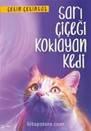 Sarı Çiçeği Koklayan Kedi