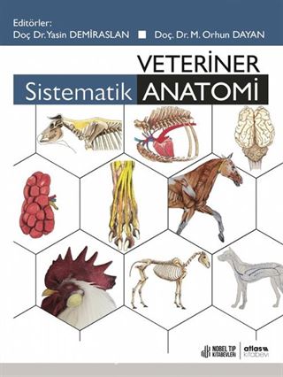 Veteriner Sistematik Anatomi