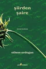 Şiirden Şaire