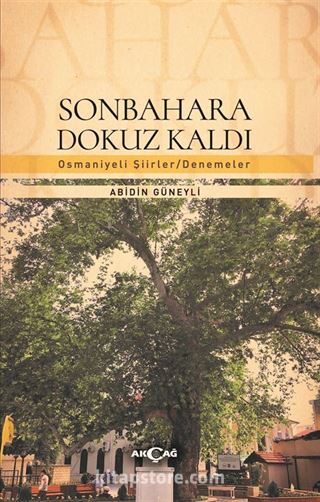 Sonbahara Dokuz Kaldı