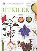 Bitkiler