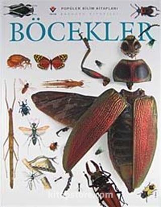 Böcekler