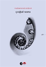 Çoğul Soru