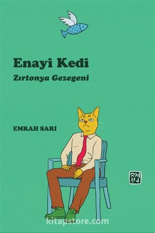 Enayi Kedi