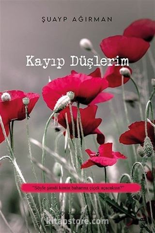 Kayıp Düşlerim