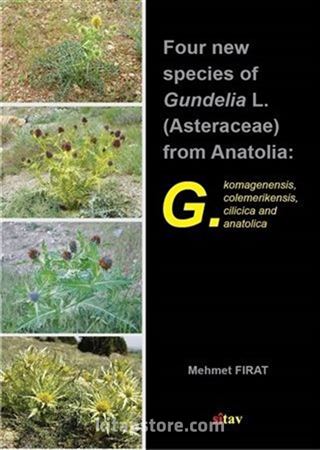 Four New Species Of Gundelia L. (Asteraceae) From Anatolia