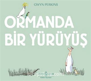 Ormanda Bir Yürüyüş