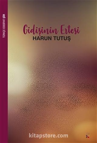 Gidişinin Ertesi