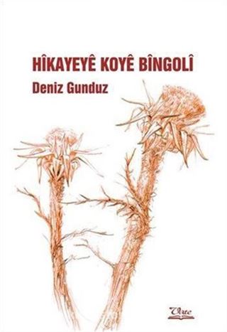 Hikayeye Koye Bingoli