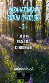 Sabahattin Ali Bütün Öyküleri 2