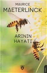 Arının Hayatı