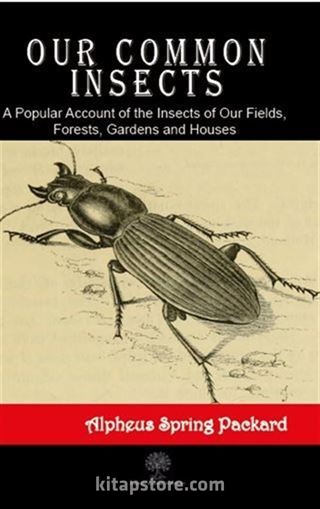 Our Common Insects