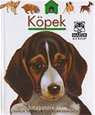 Köpek / İlk Kitaplarım Dizisi