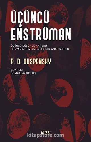 Üçüncü Enstrüman