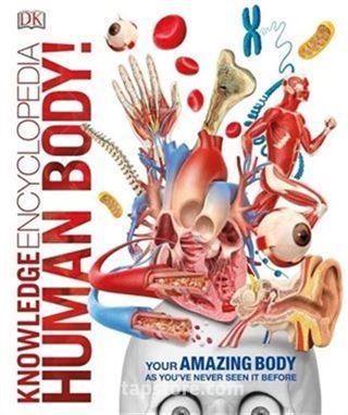 Knowledge Encyclopedia Human Body