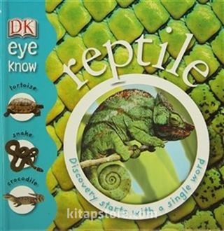 Reptile