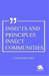 Insects And Principles Insect Communities