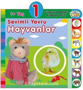 1+ Yaş Sevimli Yavru Hayvanlar