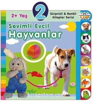 2+ Yaş Sevimli Evcil Hayvanlar