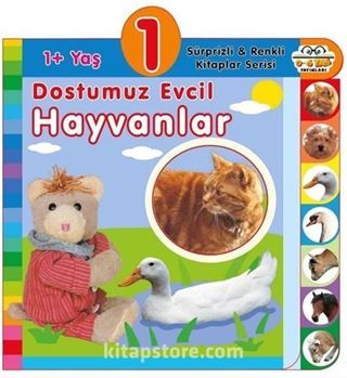 1+ Yaş Dostumuz Evcil Hayvanlar