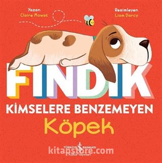 Fındık