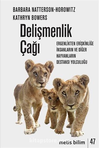 Delişmenlik Çağı