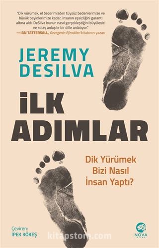 İlk Adımlar: Dik Yürümek Bizi Nasıl İnsan Yaptı?