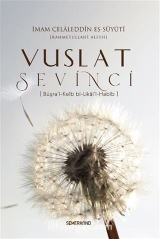 Vuslat Sevinci