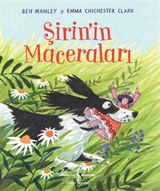 Şirin'in Maceraları