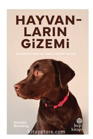 Hayvanların Gizemi