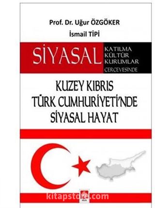 Siyasal Katılma, Kültür, Kurumlar Çerçevesinde Kuzey Kıbrıs Türk Cumhuriyeti'nde Siyasal Hayat