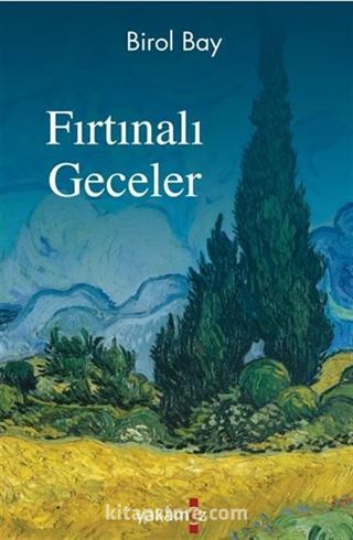 Fırtınalı Geceler