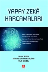 Yapay Zeka Harcamaları