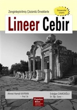 Lineer Cebir: Zenginleştirilmiş Çözümlü Örneklerle