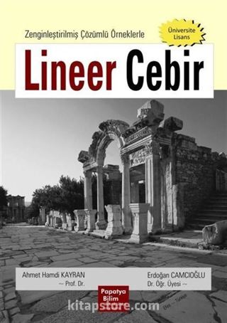 Lineer Cebir: Zenginleştirilmiş Çözümlü Örneklerle