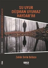 Su Uyur Düşman Uyumaz Haydar'ım