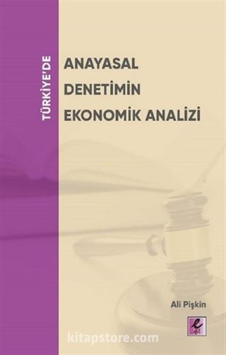 Türkiye'de Anayasal Denetimin Ekonomik Analizi