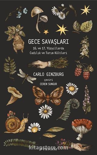 Gece Savaşları