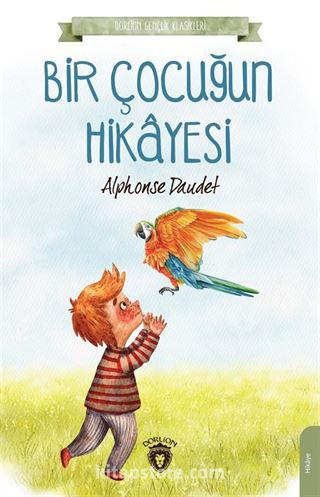 Bir Çocuğun Hikayesi